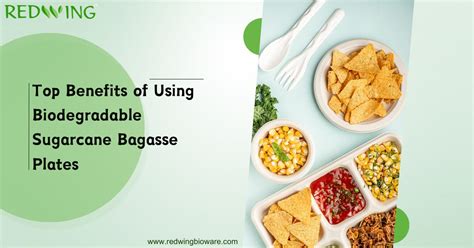 Advantages of Sugarcane Bagasse Plates .
